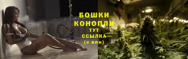 ГАЛЛЮЦИНОГЕННЫЕ ГРИБЫ Медногорск