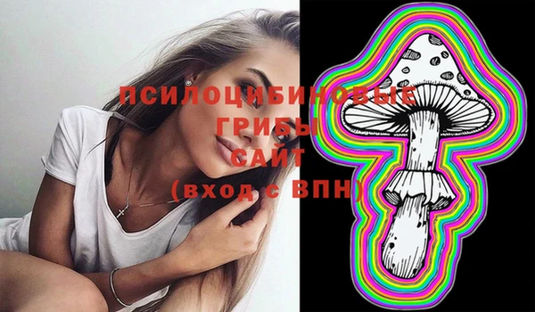 ГАЛЛЮЦИНОГЕННЫЕ ГРИБЫ Медногорск