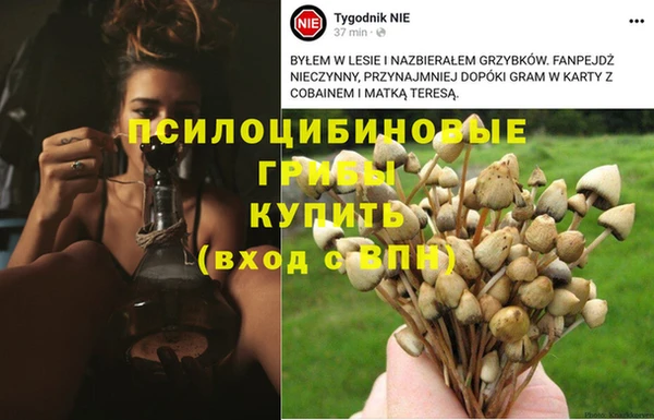 кристаллы Магас