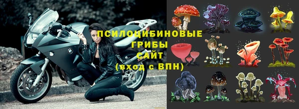 ГАЛЛЮЦИНОГЕННЫЕ ГРИБЫ Медногорск