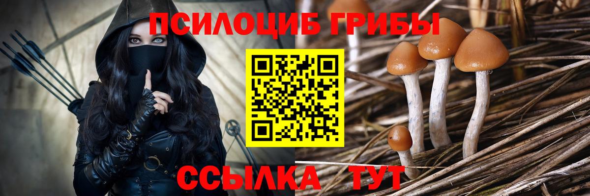Псилоцибиновые грибы прущие грибы Ханты-Мансийск
